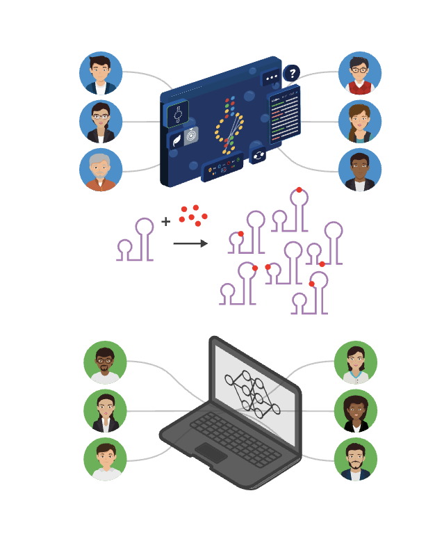 We’ve released chemical mapping data on 2.1M RNA sequences as well as a deep learning model RibonanzaNet, distilled from an 800-team Kaggle competition and the Eterna OpenKnot challenge. All data and models are publicly available — check out our preprint: Ribonanza: deep learning of RNA structure through dual crowdsourcing.